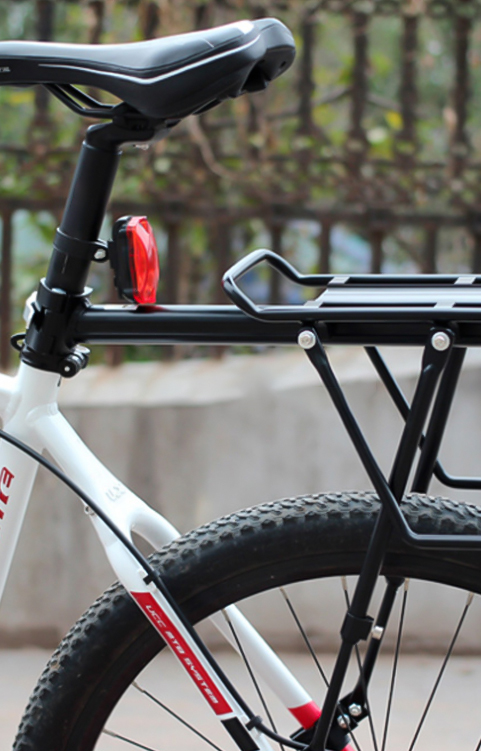 Bicycle seat post clip with quick release